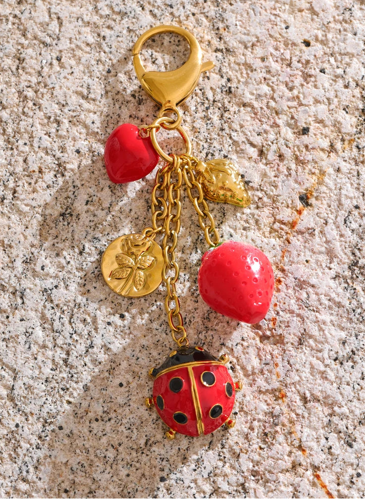Coccinelle Sucrée
